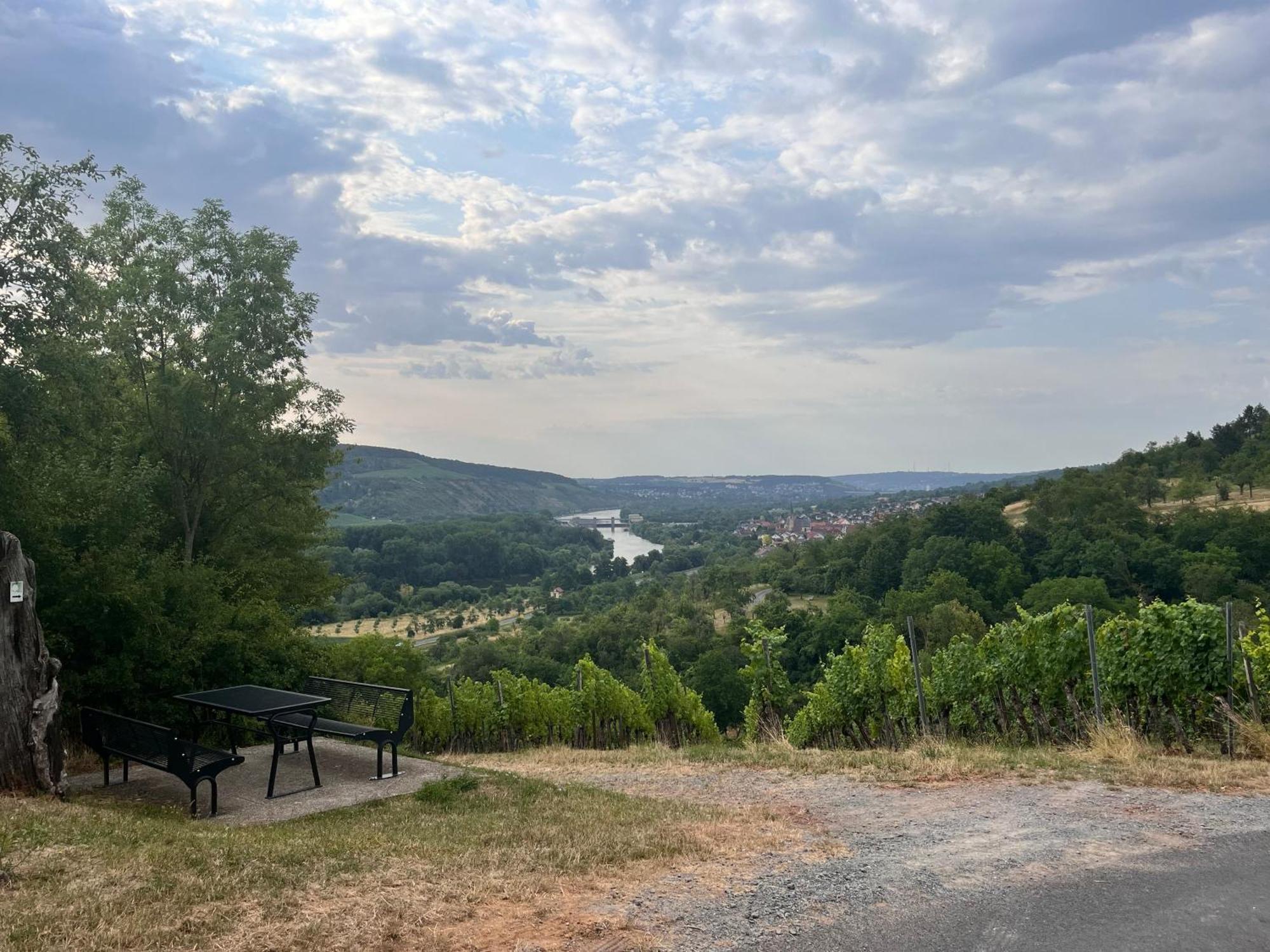 Ferienhaus Weinbergblick - Nahe Wuerzburg - 2 Schlafzimmer - Familienfreundlich - Terrasse Unterleinach Экстерьер фото
